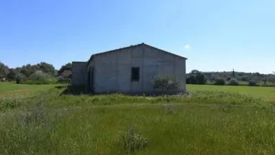 Rustic house in Felanitx photo 4