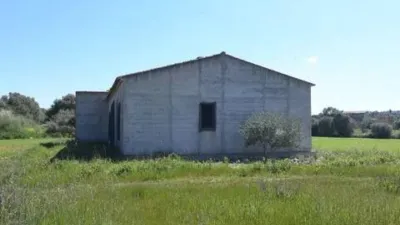 Rustic house in Felanitx photo 5