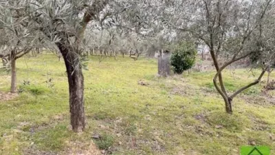 Chalet en venta en Morales del Vino, Morales del Vino de 300.000 €