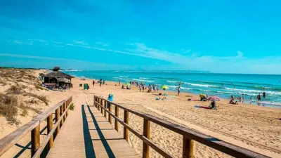 Pis – Elx - Elche - Vista 4