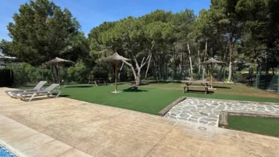 Apartment in L'Alfàs del Pi photo 31