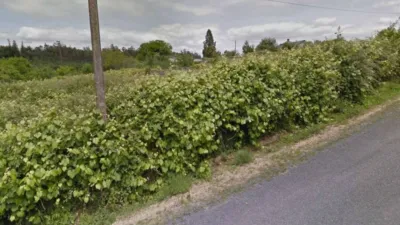Terreno en venta en Vedra - Vista 4