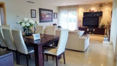 House in Sol y Luz photo 12