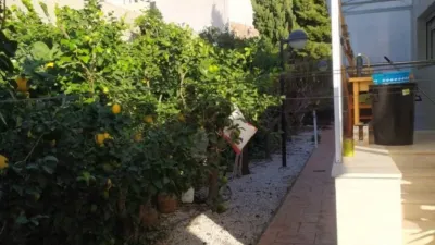 House in Sol y Luz photo 41