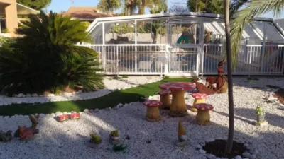 House in Sol y Luz photo 42