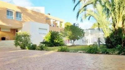 House in Sol y Luz photo 86