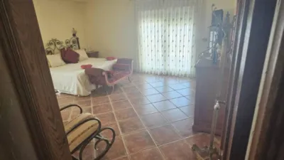 House in Formentera del Segura photo 16