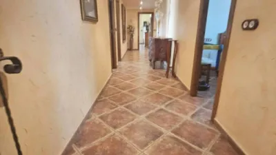 House in Formentera del Segura photo 24