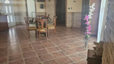 House in Formentera del Segura photo 33