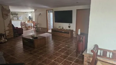 House in Formentera del Segura photo 45