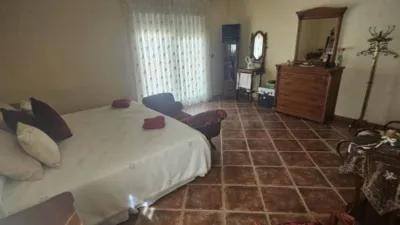 House in Formentera del Segura photo 6
