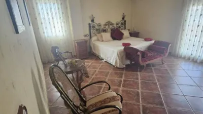 House in Formentera del Segura photo 7