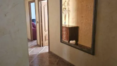 House in Formentera del Segura photo 8