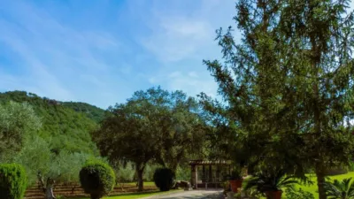 House in Calonge photo 2