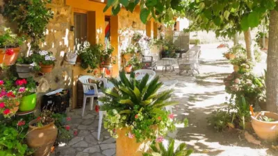 House in Calonge photo 45