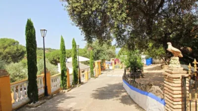 Townhouse in Andújar photo 46