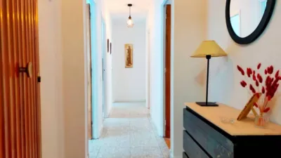 Piso – Pravia, Praúa - Más