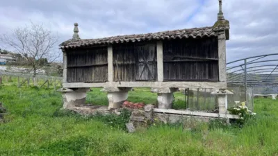 Rustic house in Cira photo 4