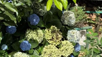 Casa rústica en venta en Banda de Las Rosas, Banda de Las Rosas (Vallehermoso) de 50.000 €