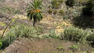 Casa rústica en venta en Banda de Las Rosas, Banda de Las Rosas (Vallehermoso) de 50.000 €