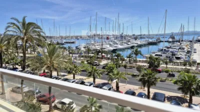 Apartment in Palma de Mallorca photo 3