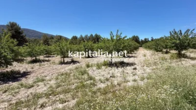 House in Alcoi - Alcoy photo 34