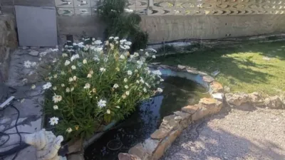 House in Petrer photo 51