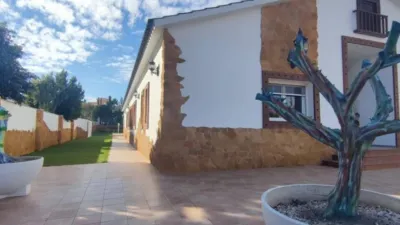 Rustic house in Mutxamel photo 14