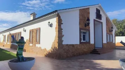Rustic house in Mutxamel photo 17