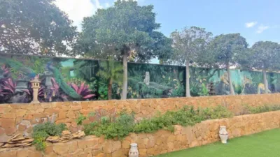 Rustic house in Mutxamel photo 19