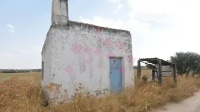 Miniatura 11