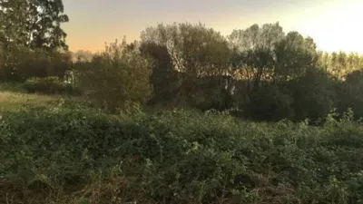 Terreno en venta en Calle Santa Rita, San Xiao S-N - Més