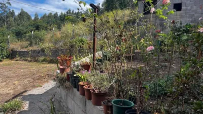 Rustic house in Bandeira photo 22