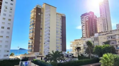 Pis – Benidorm, Llevant, la Marina Baixa - Vista 3
