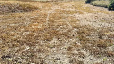 Terreno en venta en Torrellano-Valverde-Parc Empresarial - Vista 5