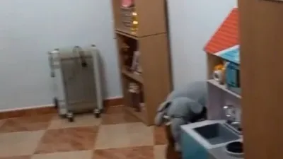 Miniatura 10