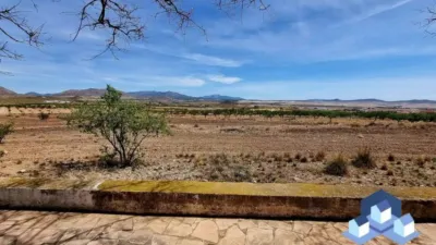 Chalet in Lorca photo 21