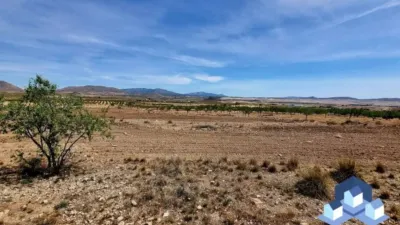 Chalet in Lorca photo 23