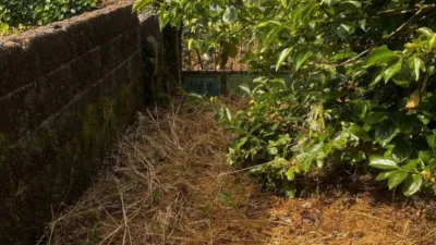 Rustic house in Silleda (Casco Urbano) photo 19