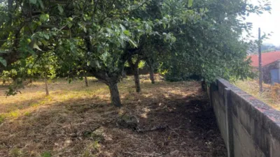 Rustic house in Silleda (Casco Urbano) photo 20
