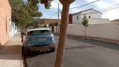 Miniatura 11