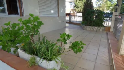 Apartment in Calella photo 18