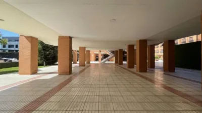 Apartment in Rejas photo 26
