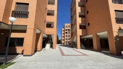 Apartment in Rejas photo 36