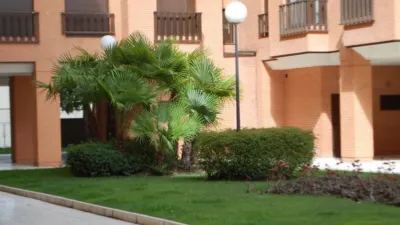 Apartment in Rejas photo 8