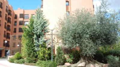 Apartment in Rejas photo 9
