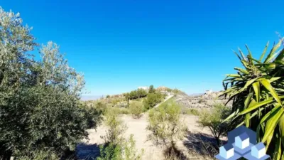 Chalet in Lorca photo 13