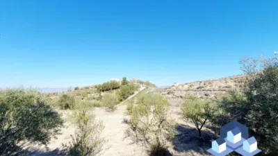 Chalet in Lorca photo 15