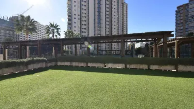 Apartment in Racó de l'Oix photo 28