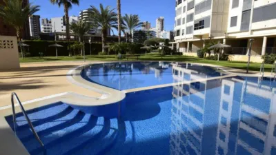 Apartment in Racó de l'Oix photo 2